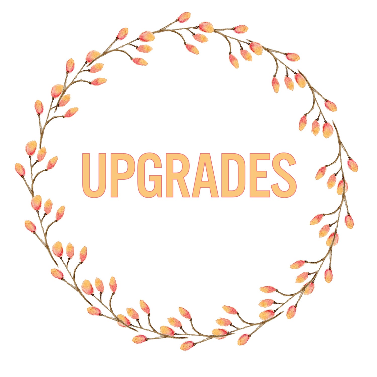 Upgrades, gift boxes and extras
