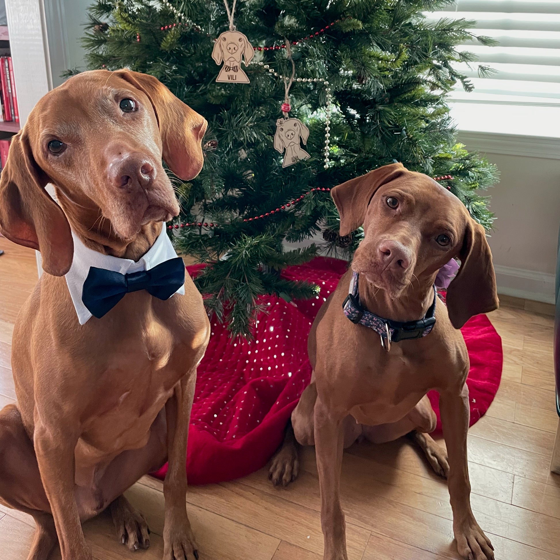 Vizsla ornament for pet parents, engraved personalized baltic birch or cherry ply wood ornament